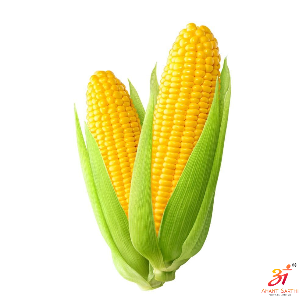 Sweet Corn